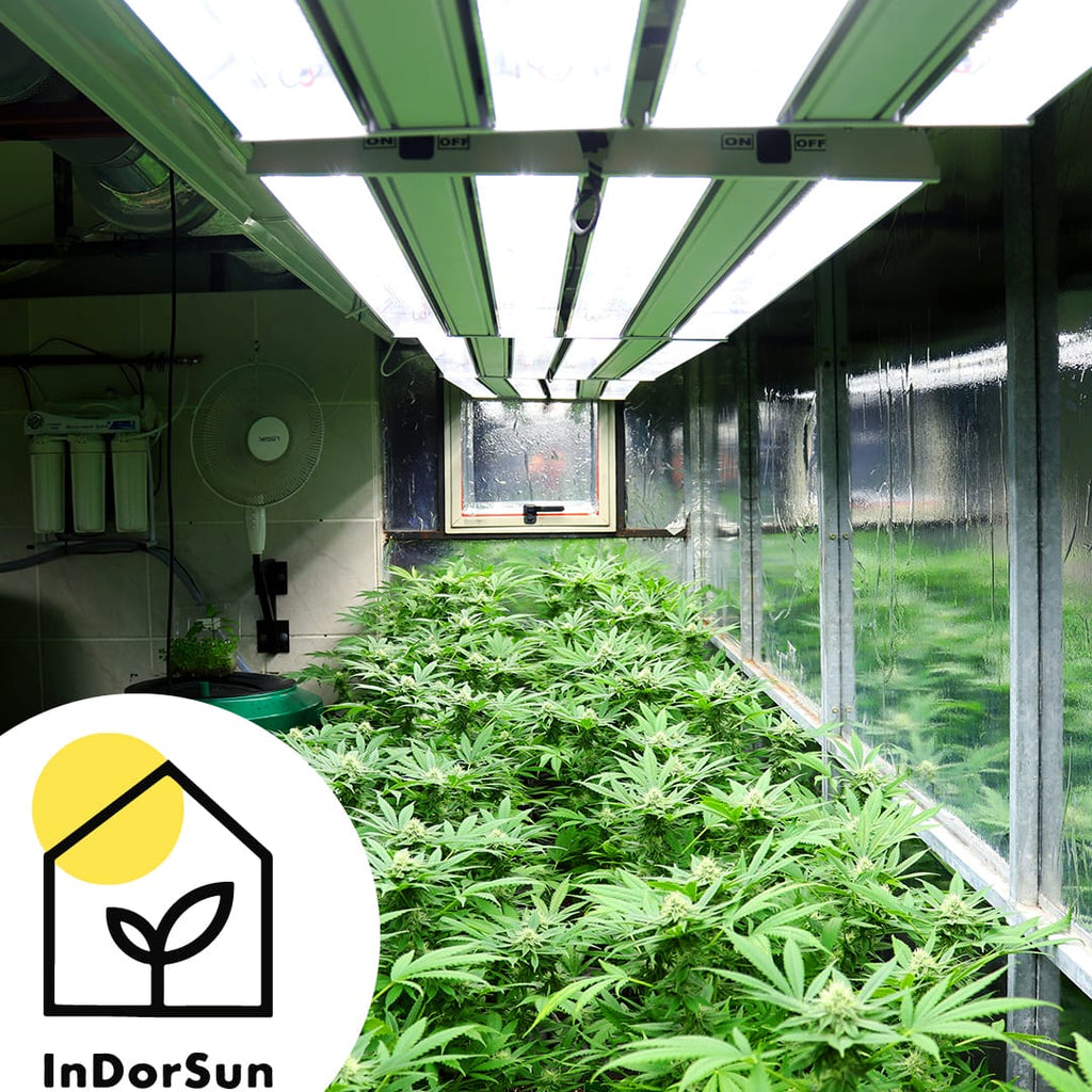 Grow Lights - An In Depth Look