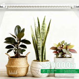 T8 LED Tube Grow Lights 10W X 2PCS for Plant Seedling/Leafgreen Cultivation
