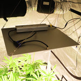 400W Full Spectrum Led Quantum Board LED Grow Lights|SAMSUNG LM281B