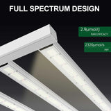 𝟴𝟬𝟬𝗪 Full Spectrum LED Grow Lights With 𝗦𝗮𝗺𝘀𝘂𝗻𝗴 𝗟𝗘𝗗
