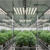 𝟴𝟬𝟬𝗪 Full Spectrum LED Grow Lights With 𝗦𝗮𝗺𝘀𝘂𝗻𝗴 𝗟𝗘𝗗