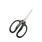 Chikamasa B-500SKF Straight Blade / Anti Bacterial