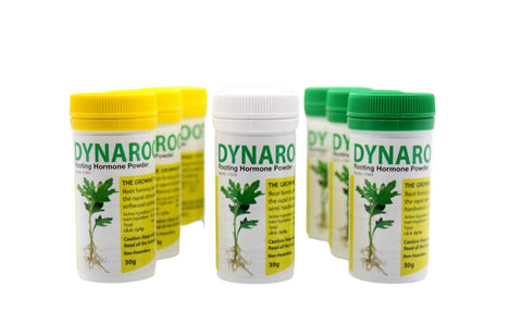 Dynaroot Rooting Hormone Powder