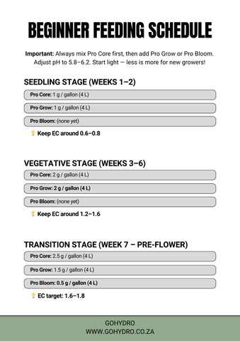 Beginner Feeding Schedule (Free Download)