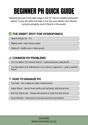Beginner’s pH Quick Guide (Free Download)