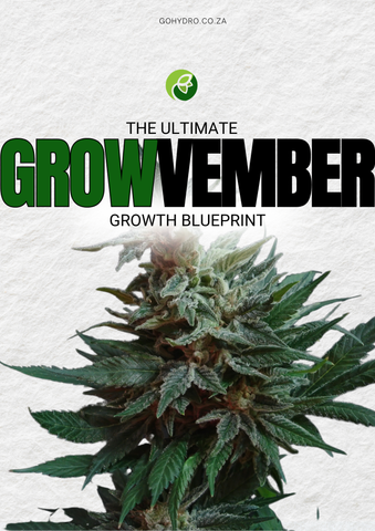 The Ultimate GROWvember Growth Blueprint (Free Download)