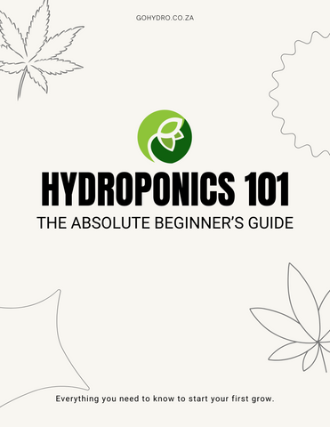 Hydroponics 101: The Absolute Beginner’s Guide (Free Download)