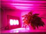 150W Full Spectrum LED Grow Light