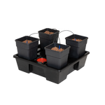 WILMA GROW SYSTEMS