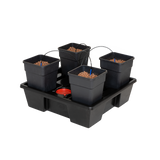 WILMA GROW SYSTEMS