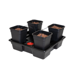 WILMA GROW SYSTEMS