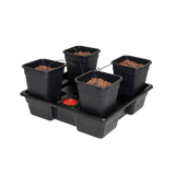 WILMA GROW SYSTEMS
