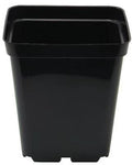 Square Plastic Pots