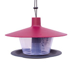 Plastia Bird Feeder Finch