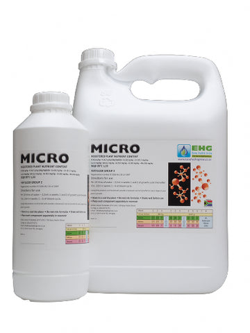 EHG - Micro