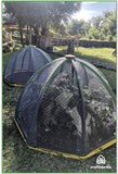 Multi Dome Self Watering Green House