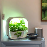 PLANT!T Herb Garden - White