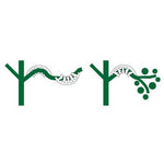 Plant Bends - Pack of 50